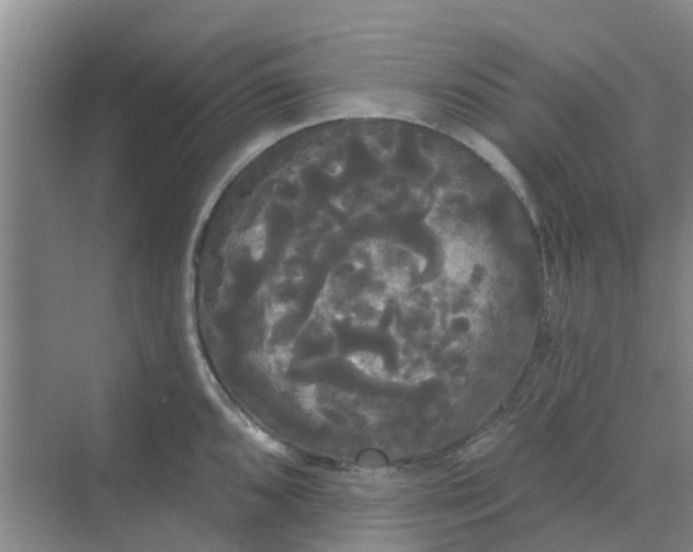 X0000068771096200605121655