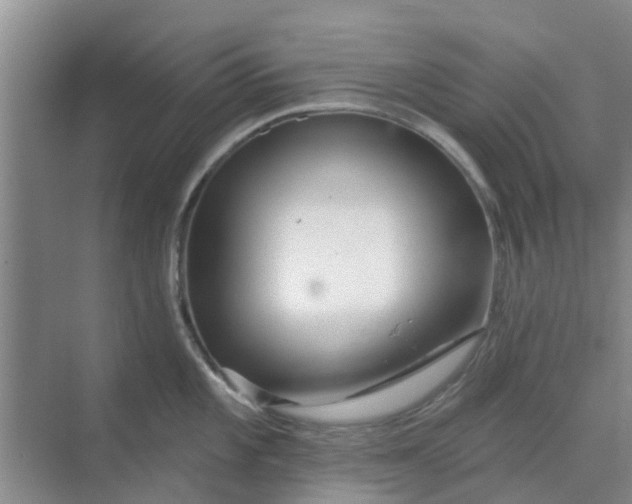 X0000068771101200605121655