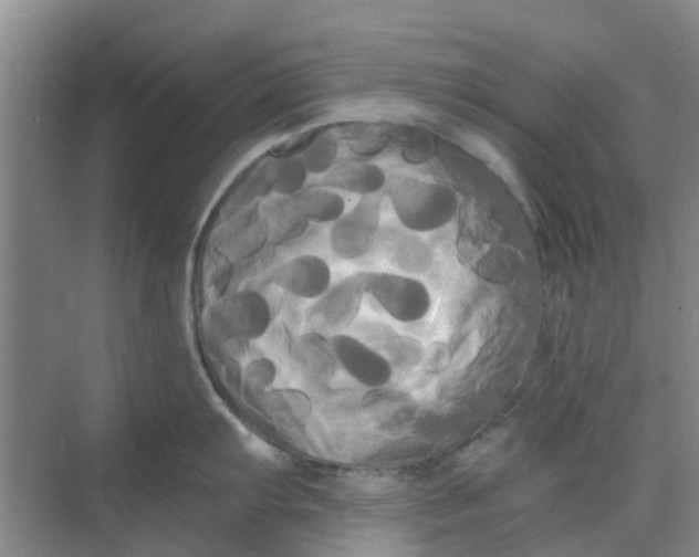 X0000068771103200605121655