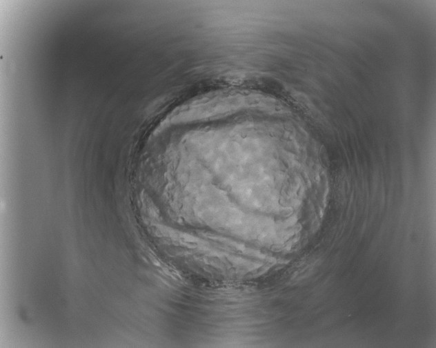 X0000068771105200605121654