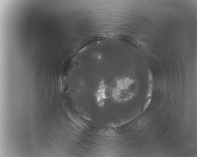 X0000068771106200605121654