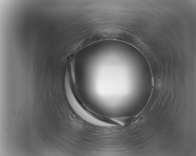 X0000068771108200605121654