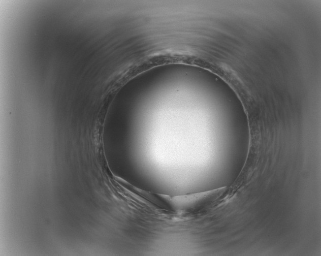 X0000068771110200605121654