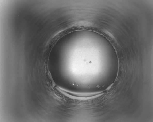 X0000068771112200605121654