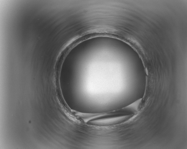 X0000068771114200605121654