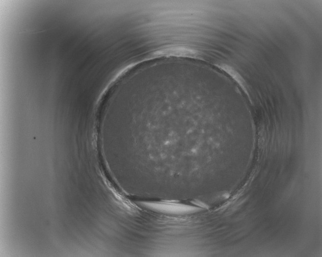 X0000068771115200605121654