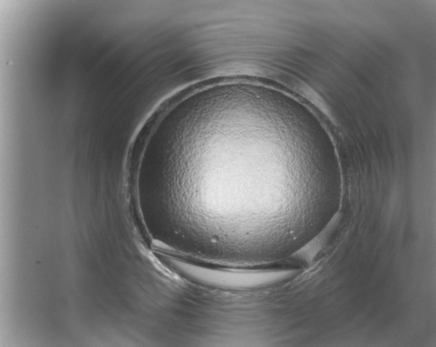 X0000068771116200605121654