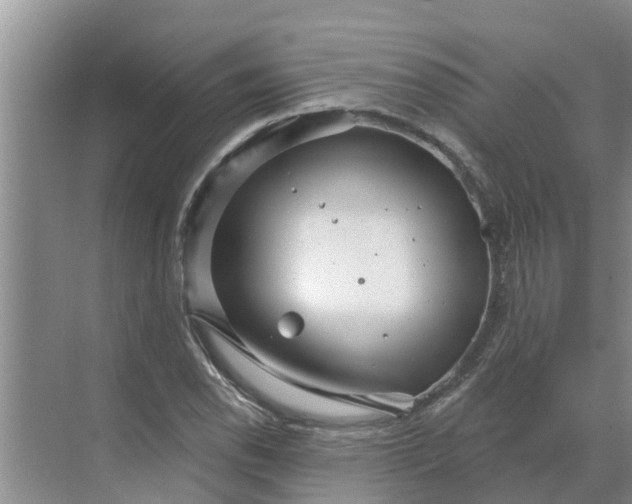 X0000068771118200605121654