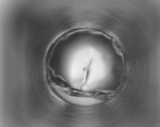 X0000068771120200605121654