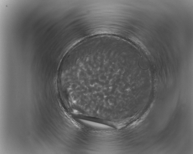 X0000068771121200605121654