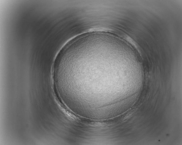 X0000068771124200605121654