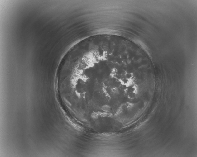 X0000068771125200605121655