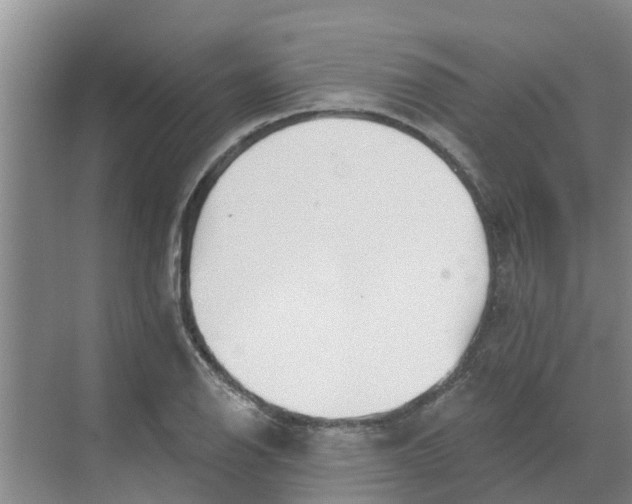 X0000068771126200605121655