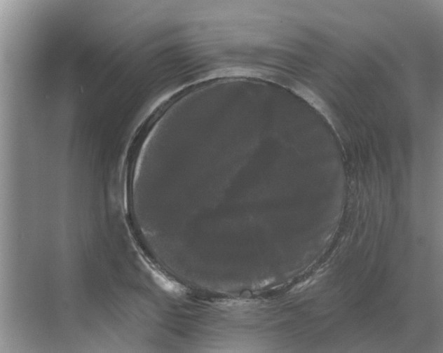 X0000068771127200605121655