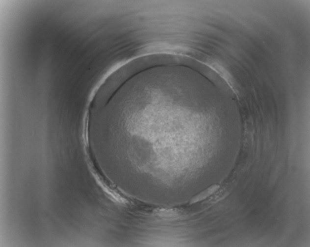 X0000068771128200605121655