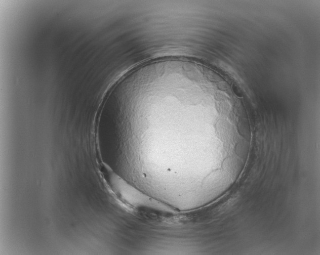 X0000068771129200605121655