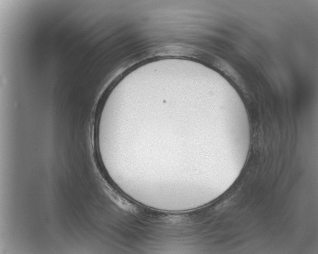 X0000068771130200605121655