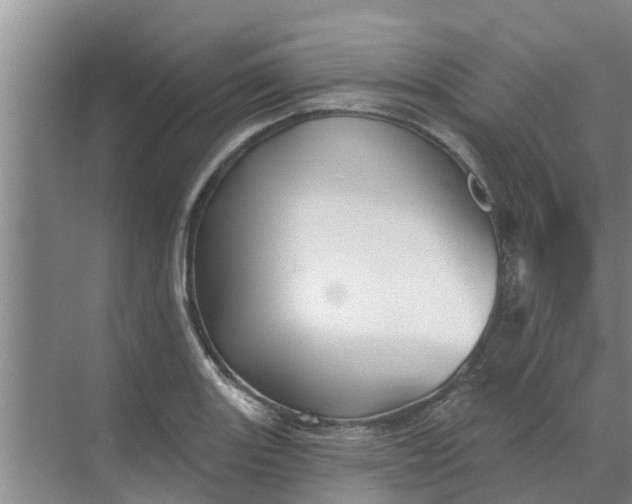 X0000068771131200605121655