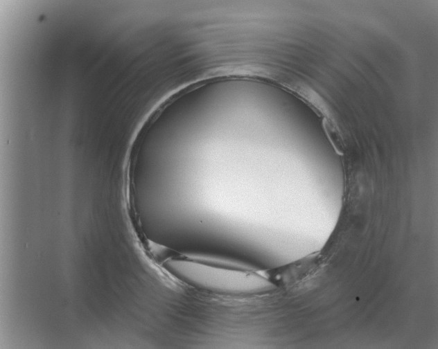 X0000068771132200605121655