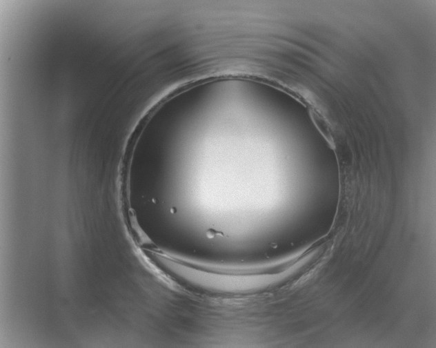 X0000068771134200605121655