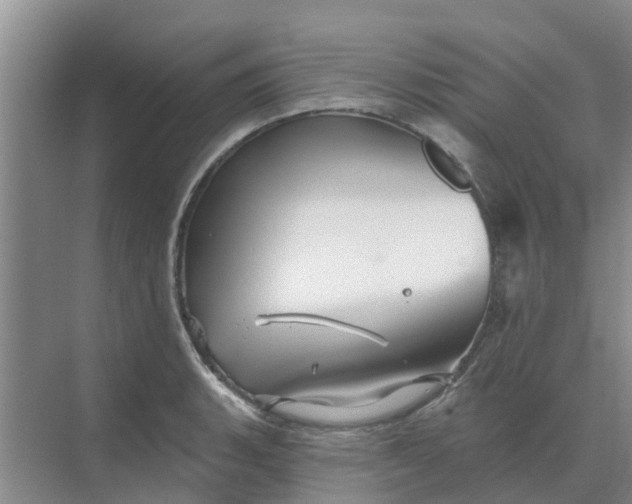 X0000068771135200605121655