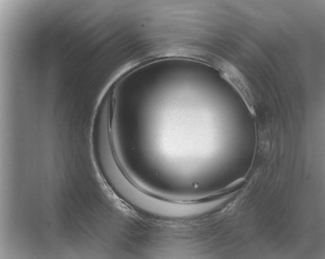 X0000068771138200605121655