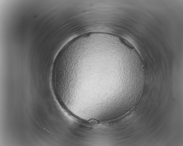 X0000068771139200605121655