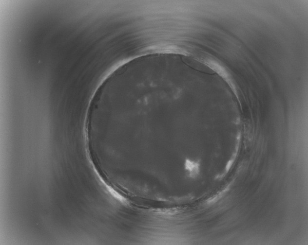 X0000068771141200605121655