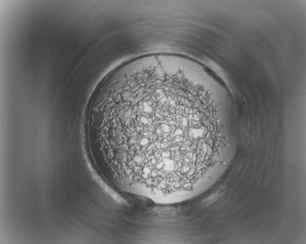 X0000068771142200605121655