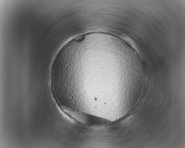 X0000068771143200605121655