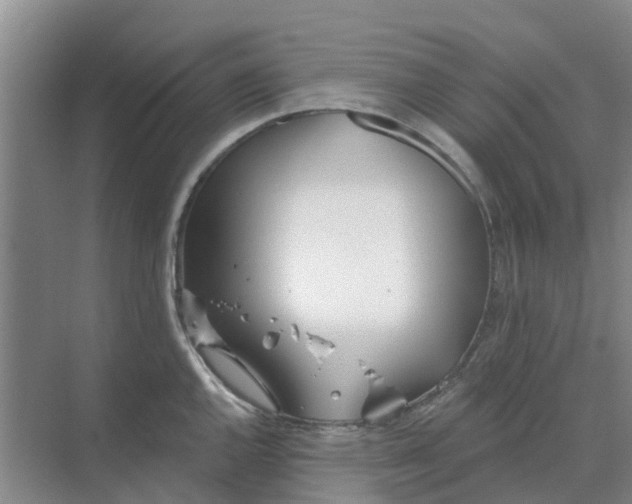 X0000068771144200605121655