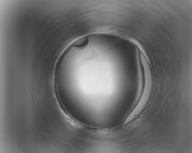 X0000068771147200605121655