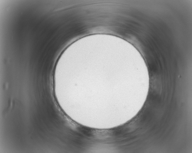 X0000068771150200605121655