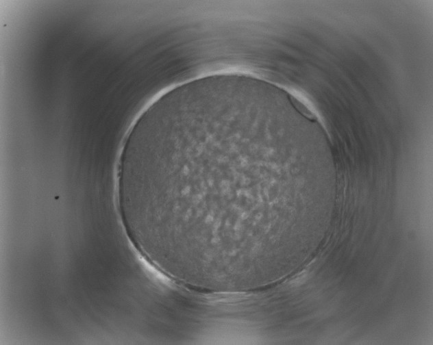 X0000068771151200605121655