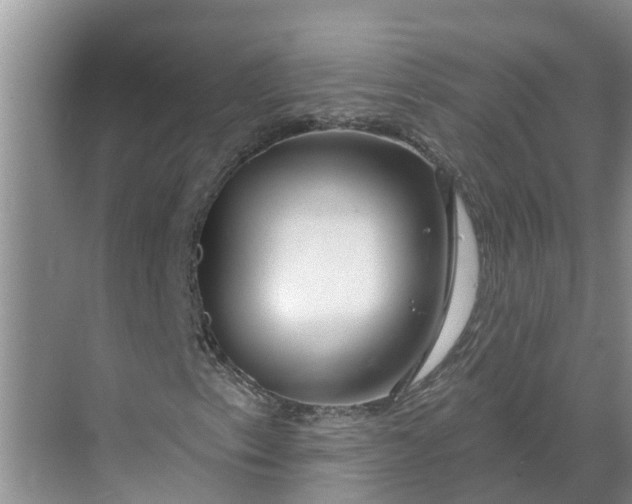 X0000068771153200605121654