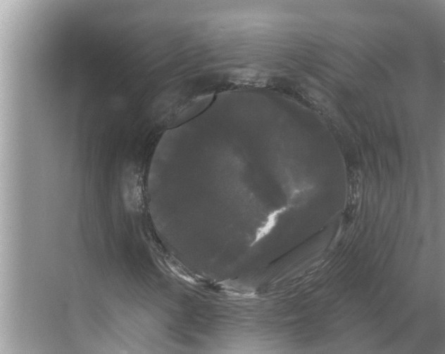 X0000068771154200605121654