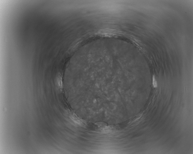 X0000068771155200605121654