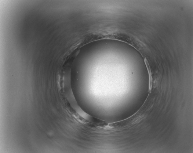 X0000068771156200605121654