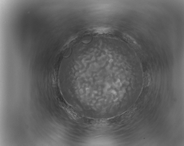 X0000068771158200605121654