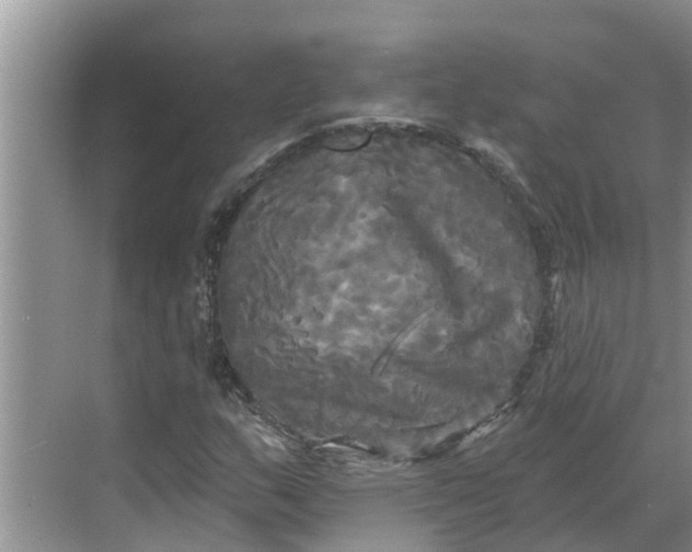 X0000068771159200605121654