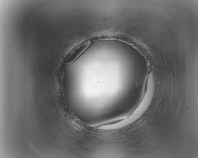 X0000068771160200605121654