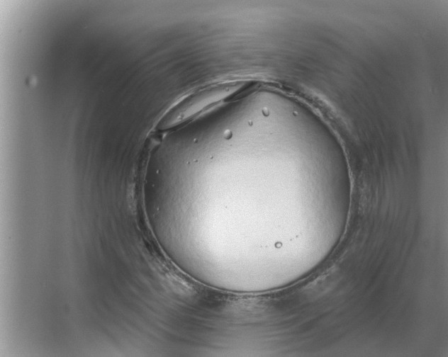 X0000068771162200605121654