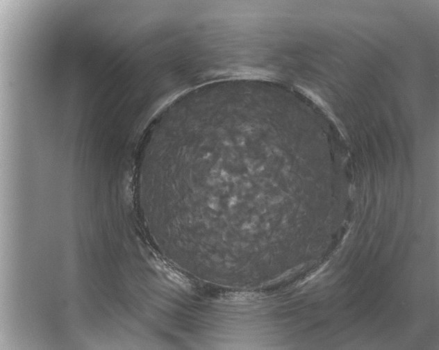 X0000068771163200605121654