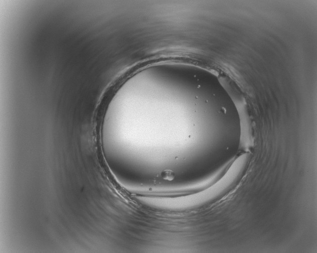 X0000068771164200605121654