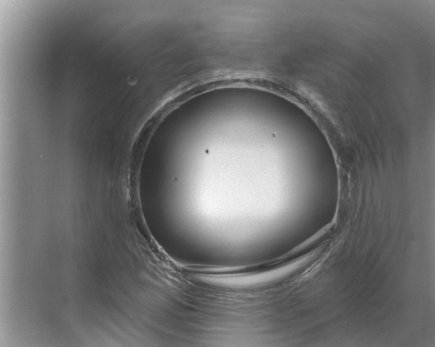 X0000068771165200605121654