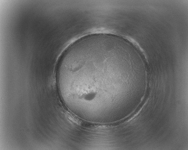 X0000068771167200605121654