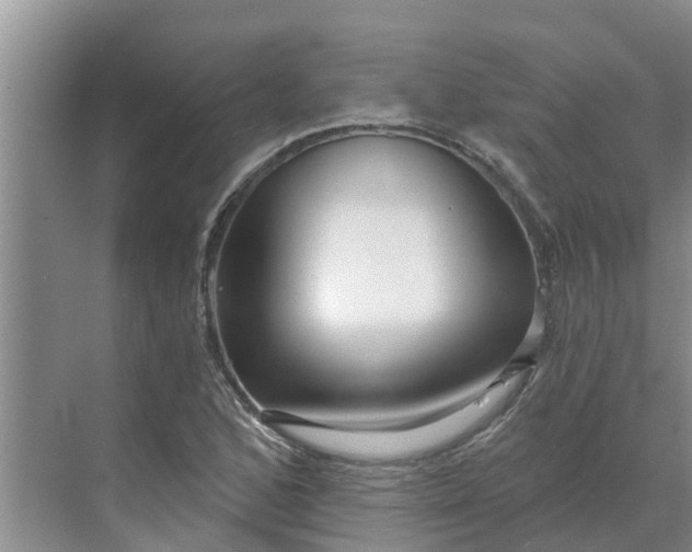 X0000068771168200605121654