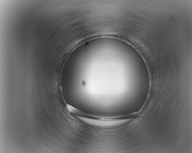 X0000068771169200605121654