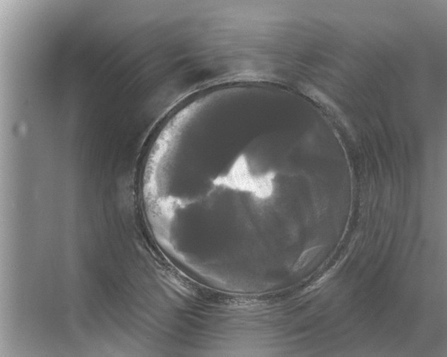 X0000068771170200605121654