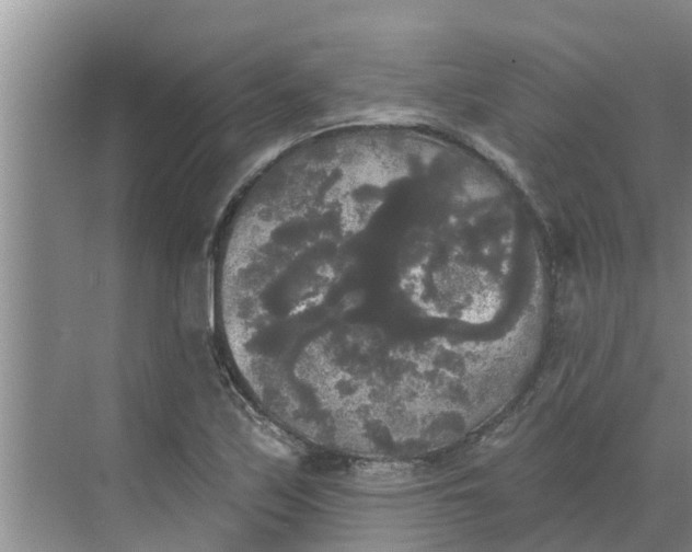 X0000068771171200605121654